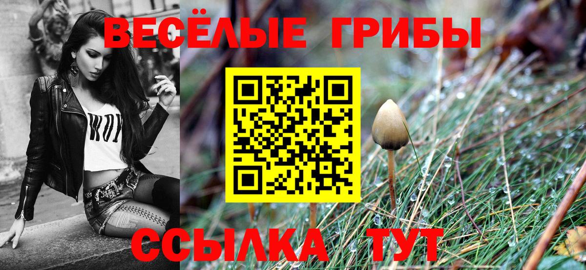 Галлюциногенные грибы Cubensis  Галлюциногенные грибы ЛСД  Сегежа  Вход с VPN 