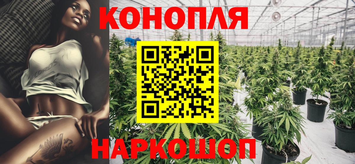 Бошки марихуана семена Сегежа