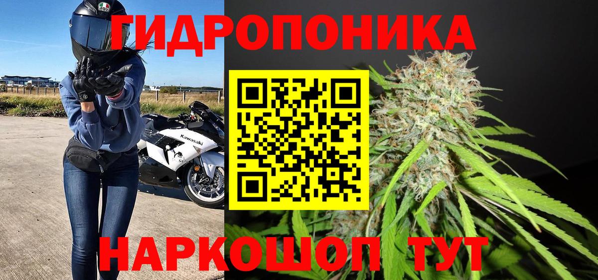 Бошки марихуана LSD WEED  Вход с VPN  Шишки марихуана White Widow  Сегежа  МАРИХУАНА Amnesia  Бошки марихуана THC 21% 